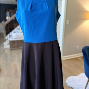 The Limited Blue and Navy Midi Dress